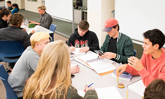 Numerous students studying together