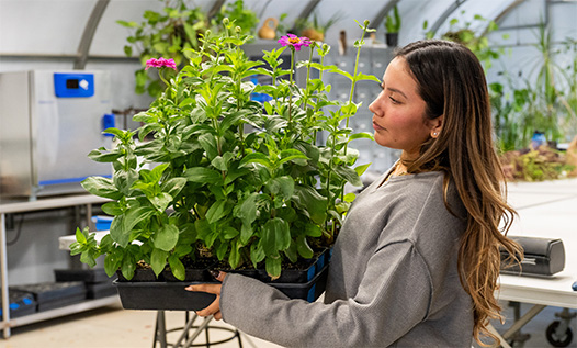 Student in agriculture class