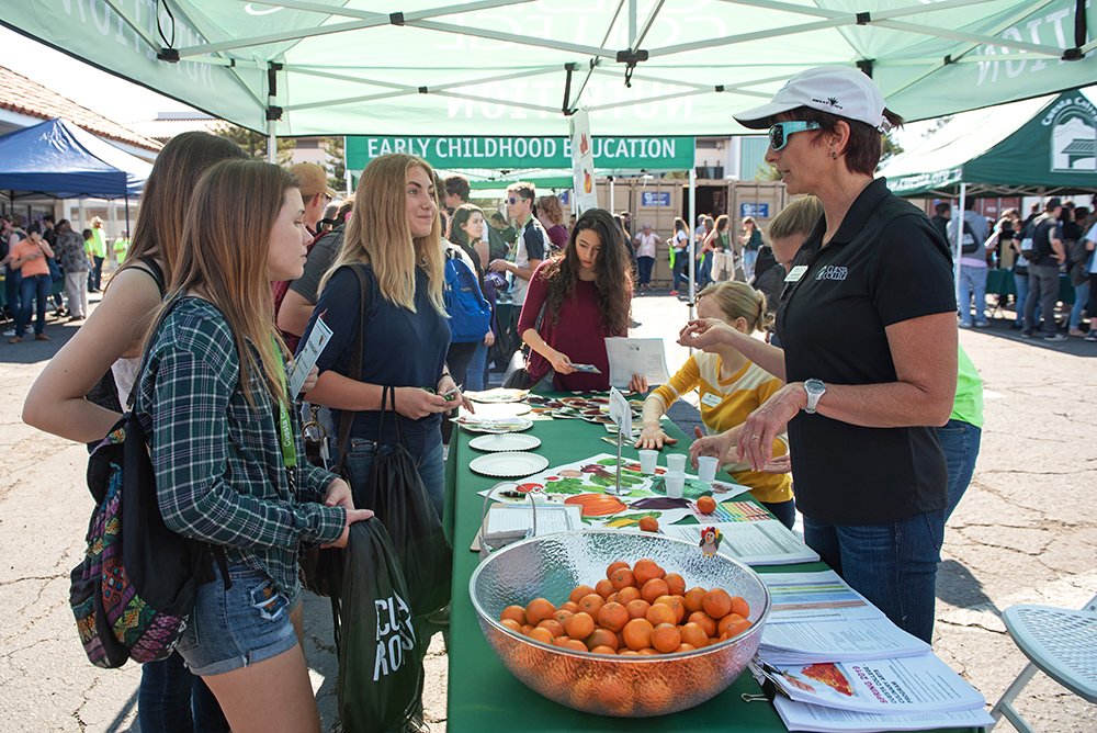 The Cuesta Promise stall