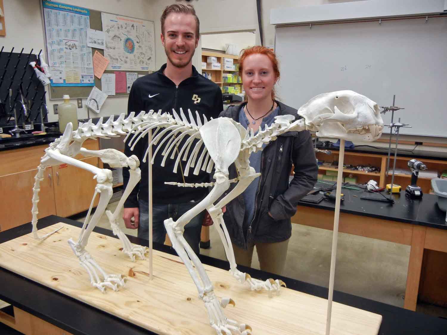 Students in Bio240
